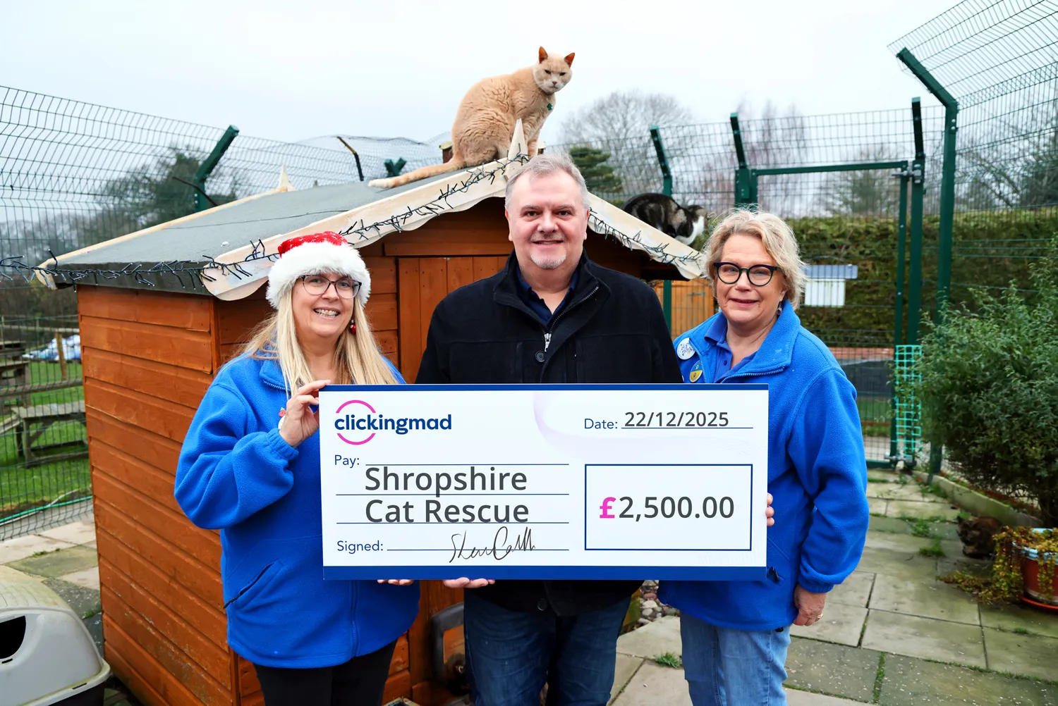clickingmad-supports-cat-rescue
