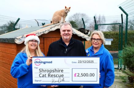 Clickingmad Supports Shropshire Cat Rescue as part 25 in 25 Acts of Kindness