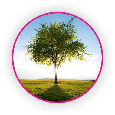 img circle test