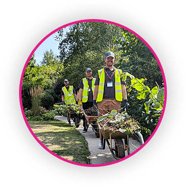 Back to the hospice gardens